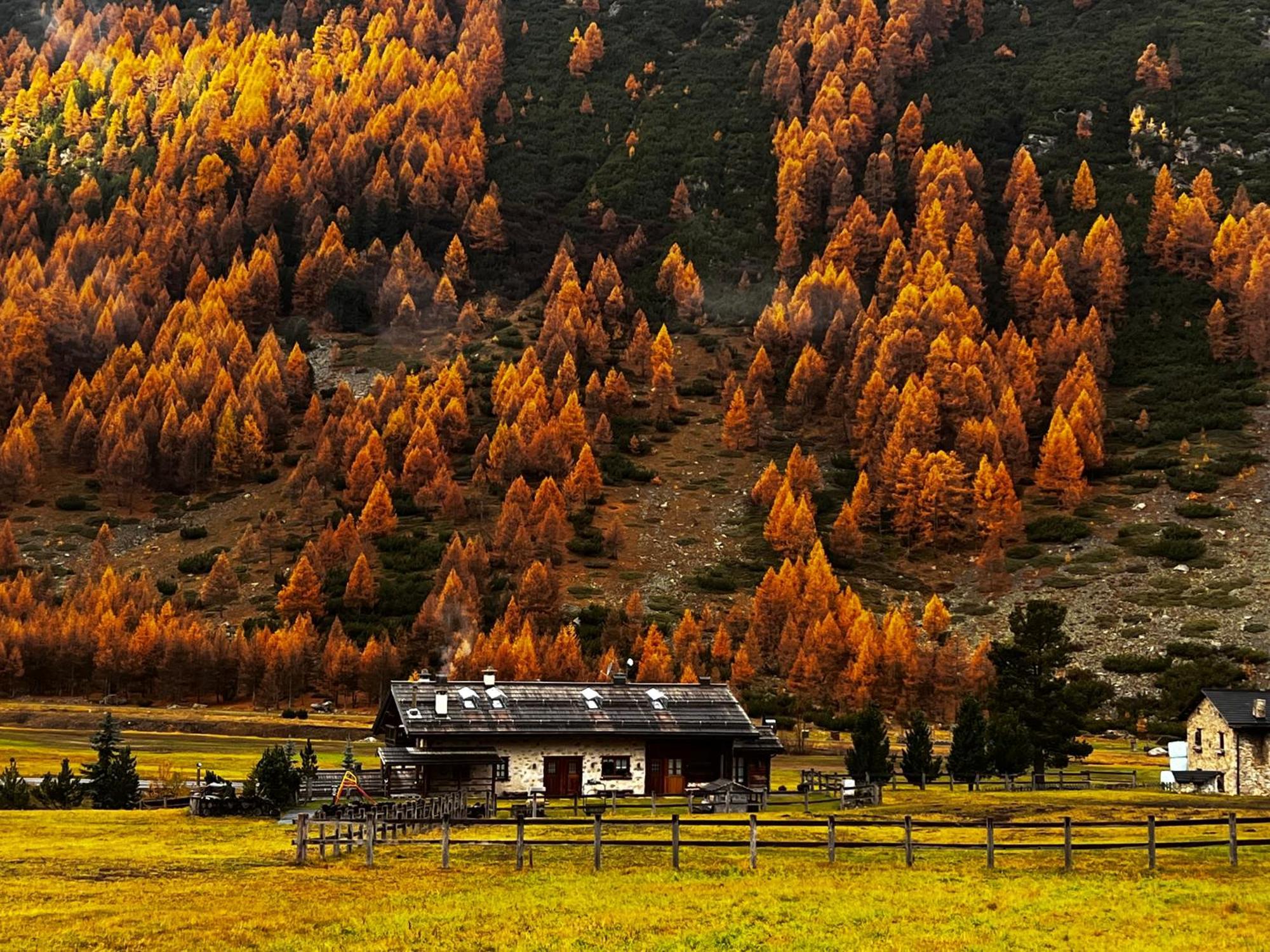 Baita Pomo Livigno Dış mekan fotoğraf